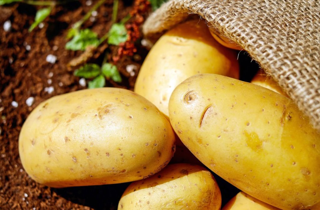 Cultivar patatas