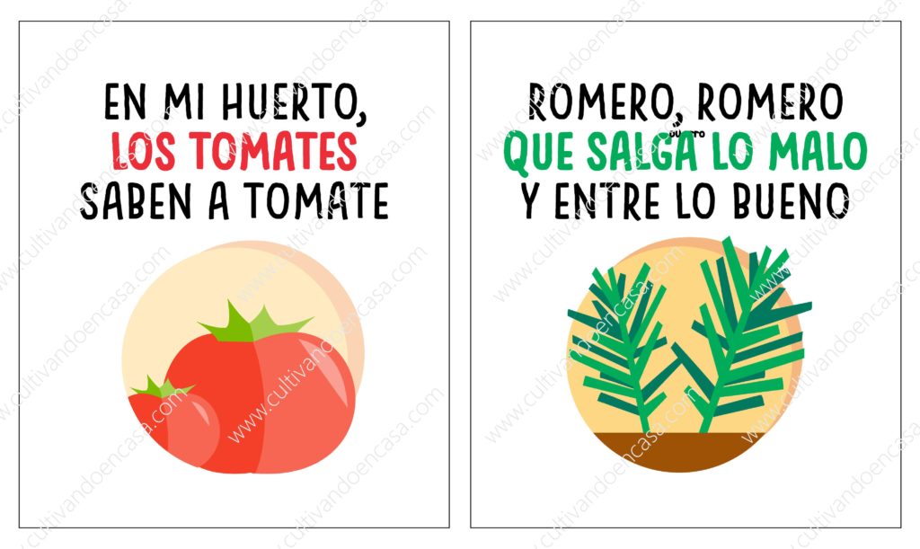 Tomates que saben a Tomate - Romero Romero