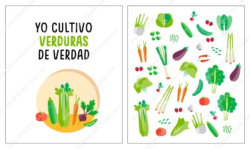 Verduras de Verdad - Collage de Verduras
