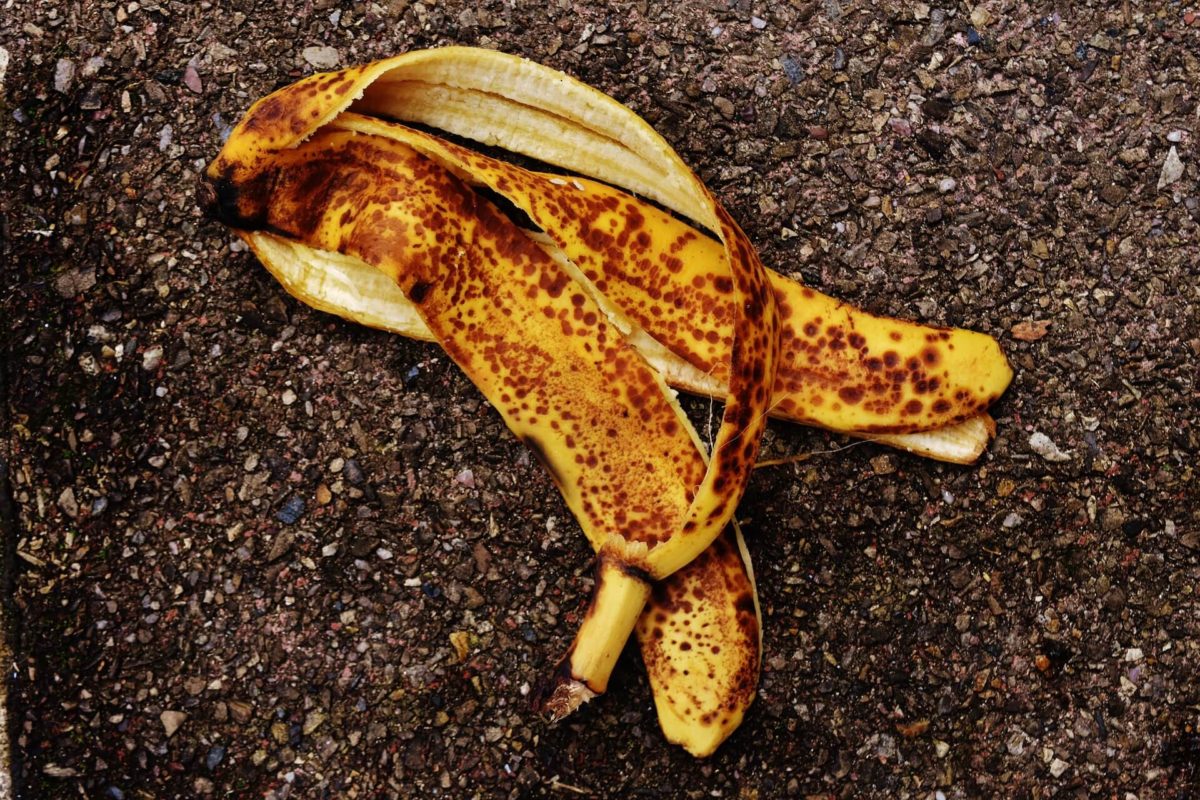 Mondadura de plátano