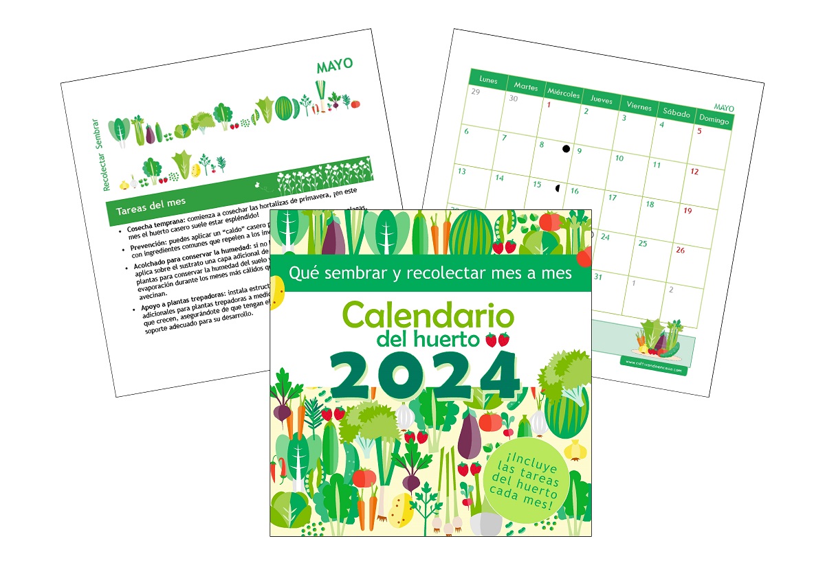 ¡Llega el calendario del huerto 2024! Qué sembrar, recolectar y hacer en el huerto mes a mes